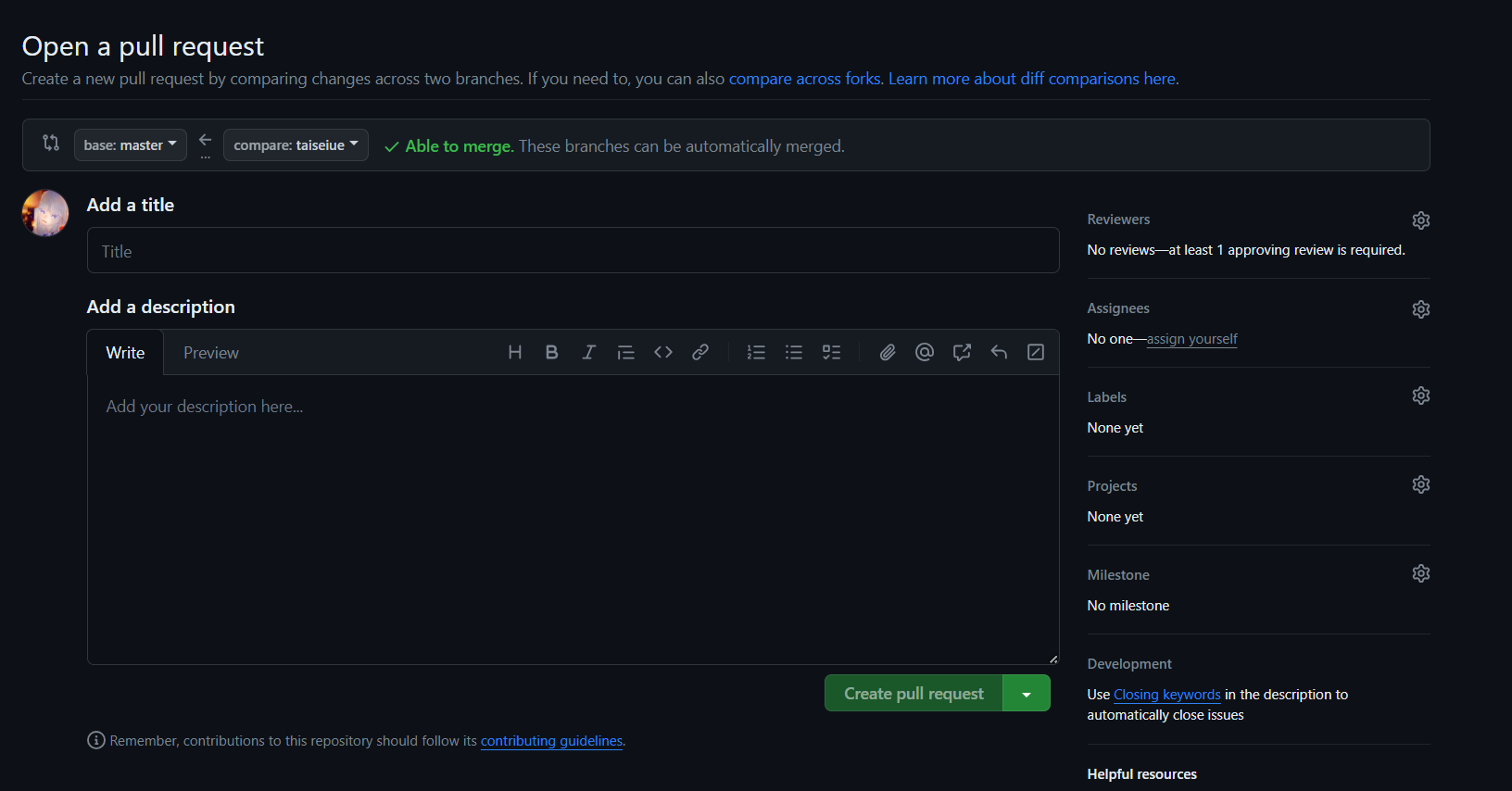 Open a pull request画面